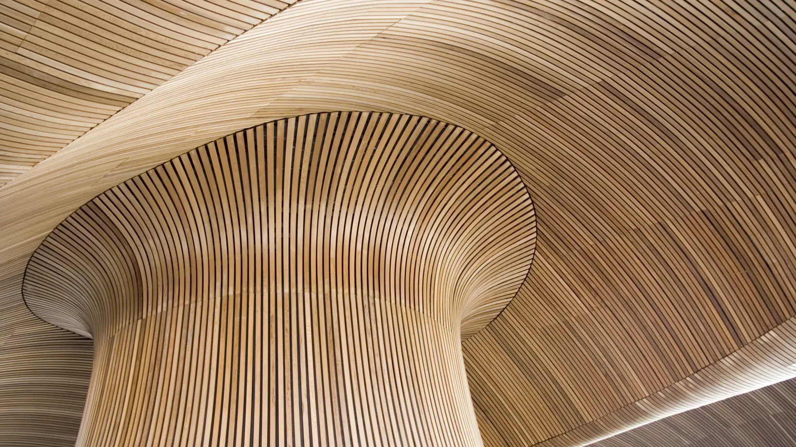 An impressive wooden cladded ceiling with curves and joins