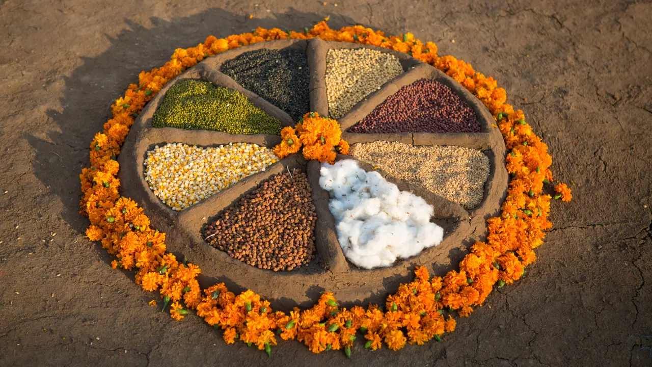 India Langdon 161120 521