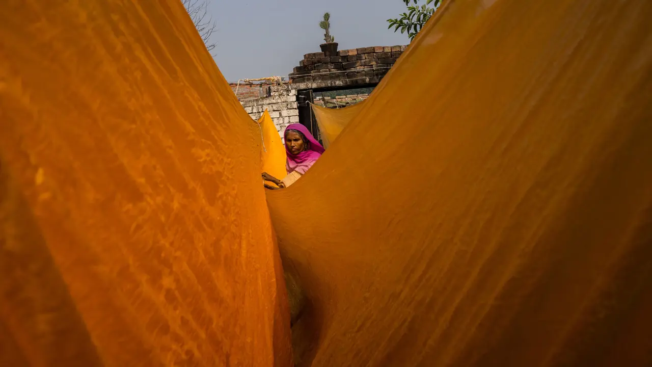 A woman hanging dyed yellow fabric