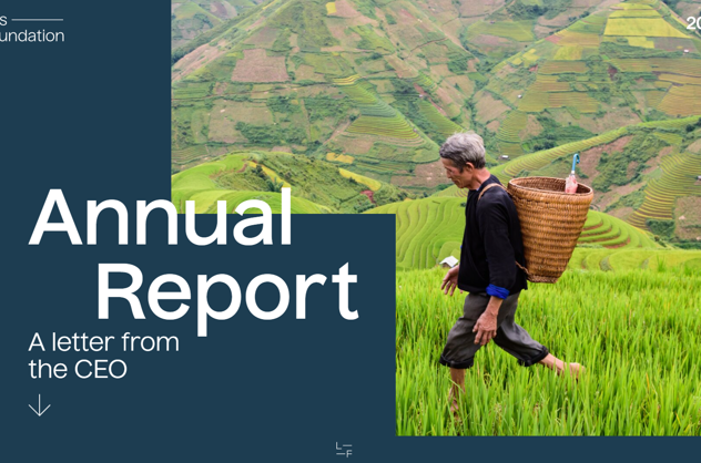 Annual report cover image