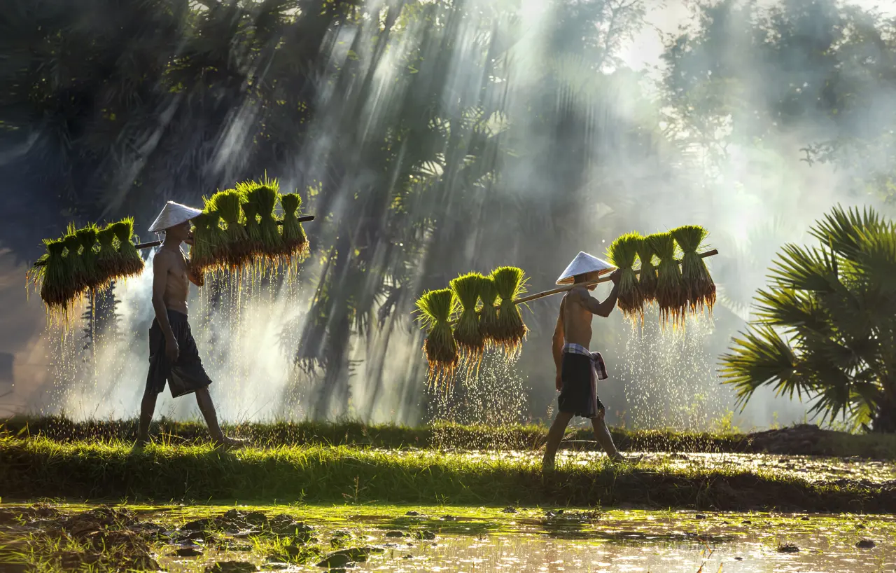 Large Bsr8jqdc2opm2yth3le4ehtalr0ui7xzub1w8xuwzh4