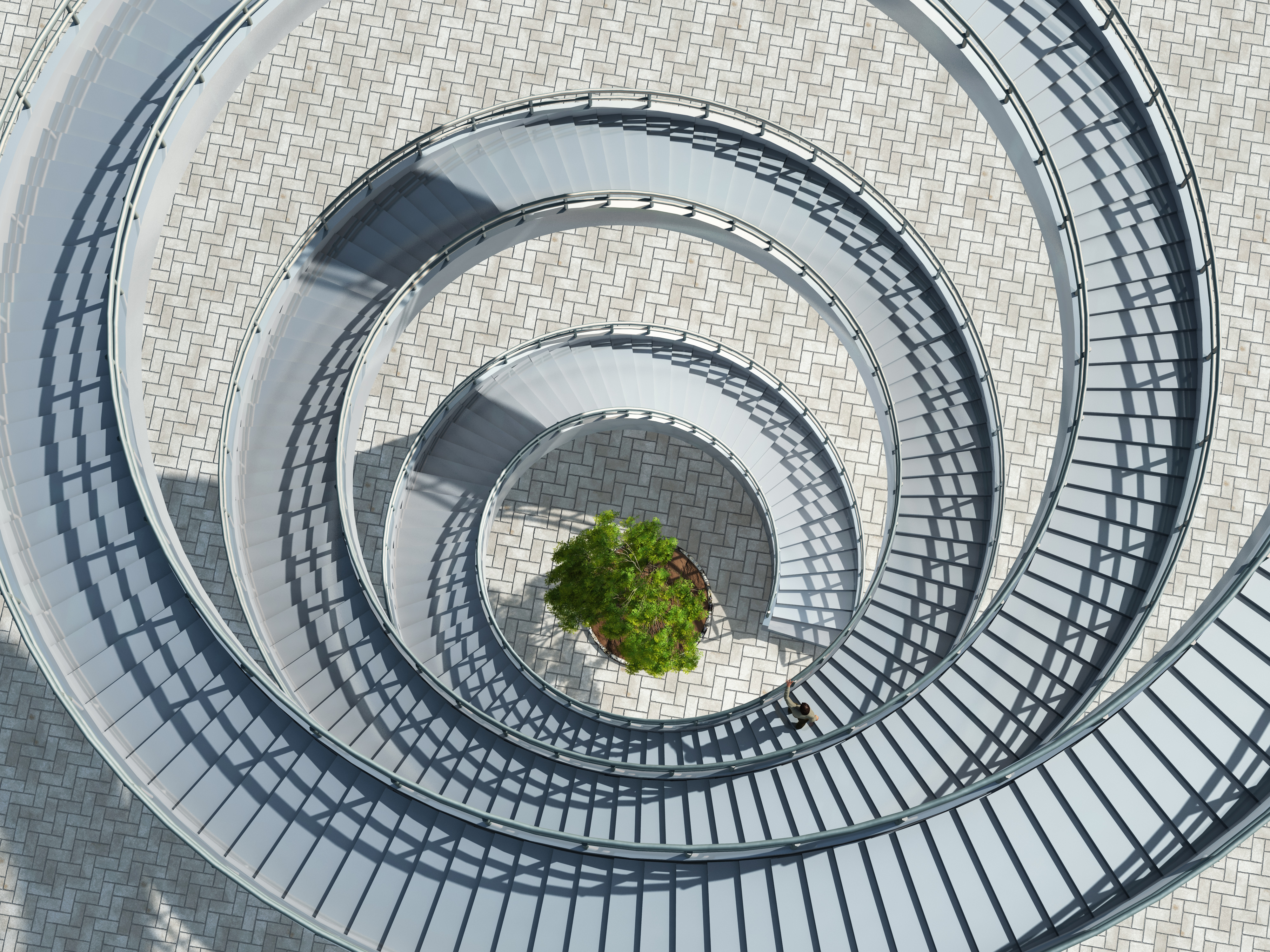 An aerial view of an outdoor spiral staircase with a single tree at the bottom in the centre