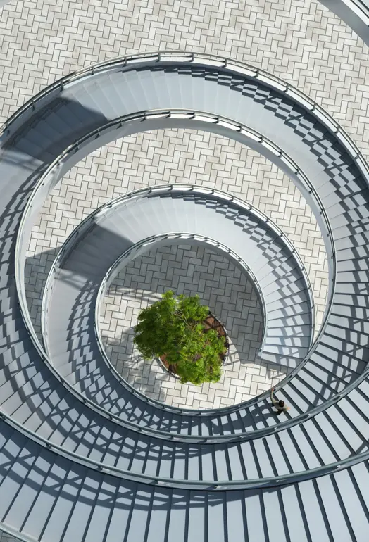 An aerial view of an outdoor spiral staircase with a single tree at the bottom in the centre