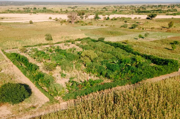 TANZANIA JUNE 2024 RPLC SINGIDA Yusuf Msafiri 0235