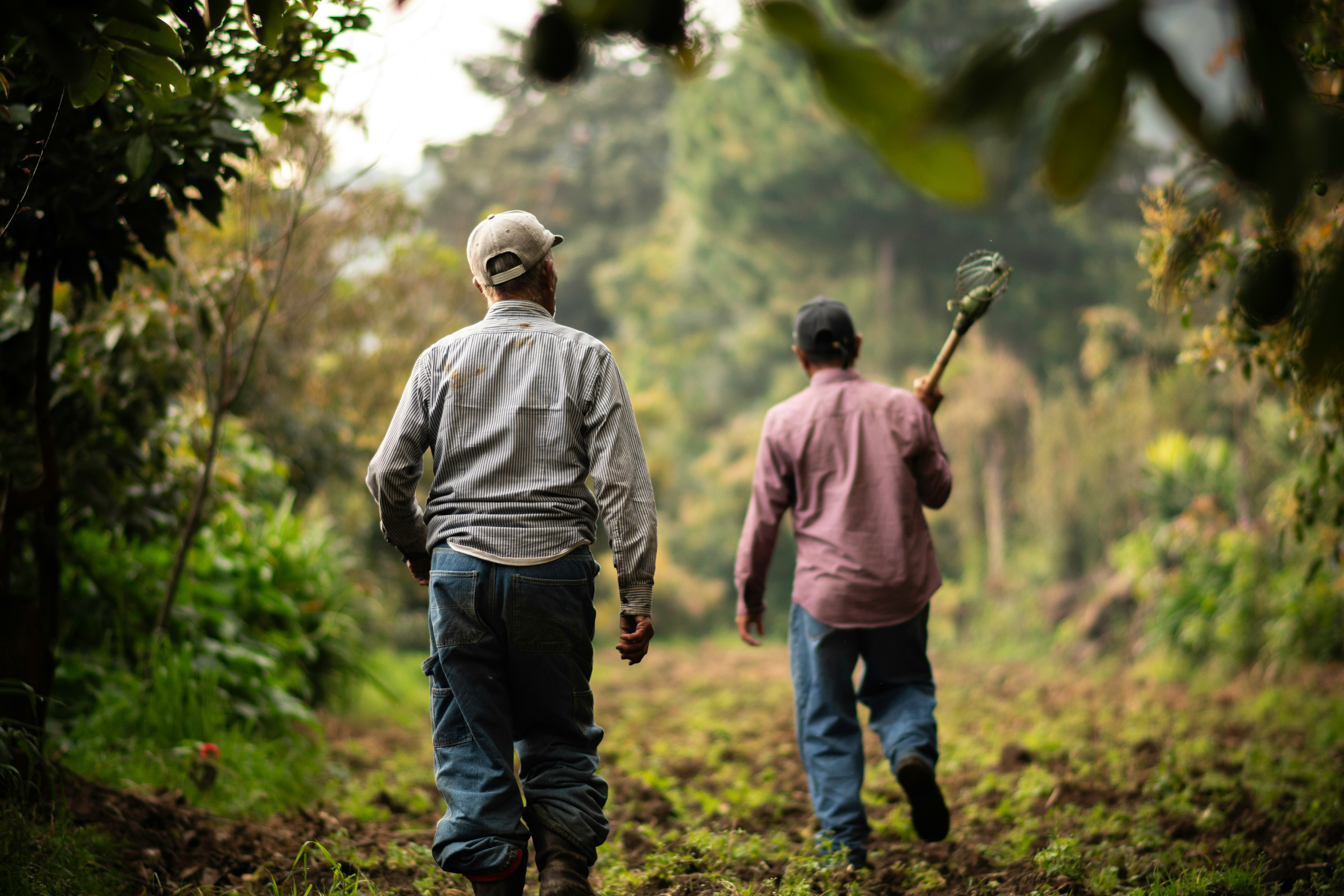 farming men walking with handtools