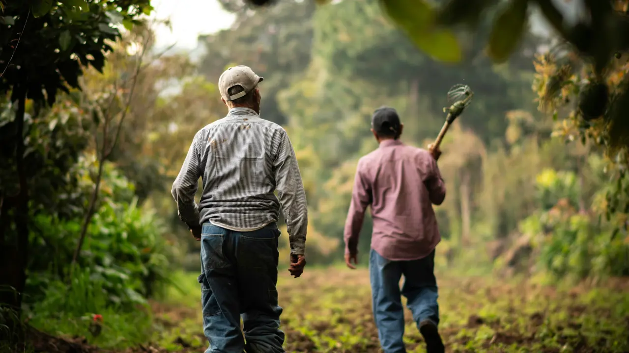 farming men walking with handtools