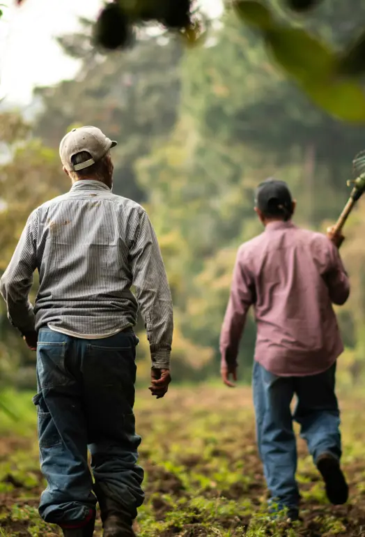 farming men walking with handtools
