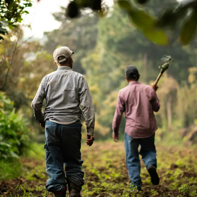 farming men walking with handtools