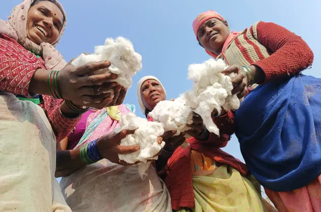 Farmers Showcasing Their Cotton Harvest