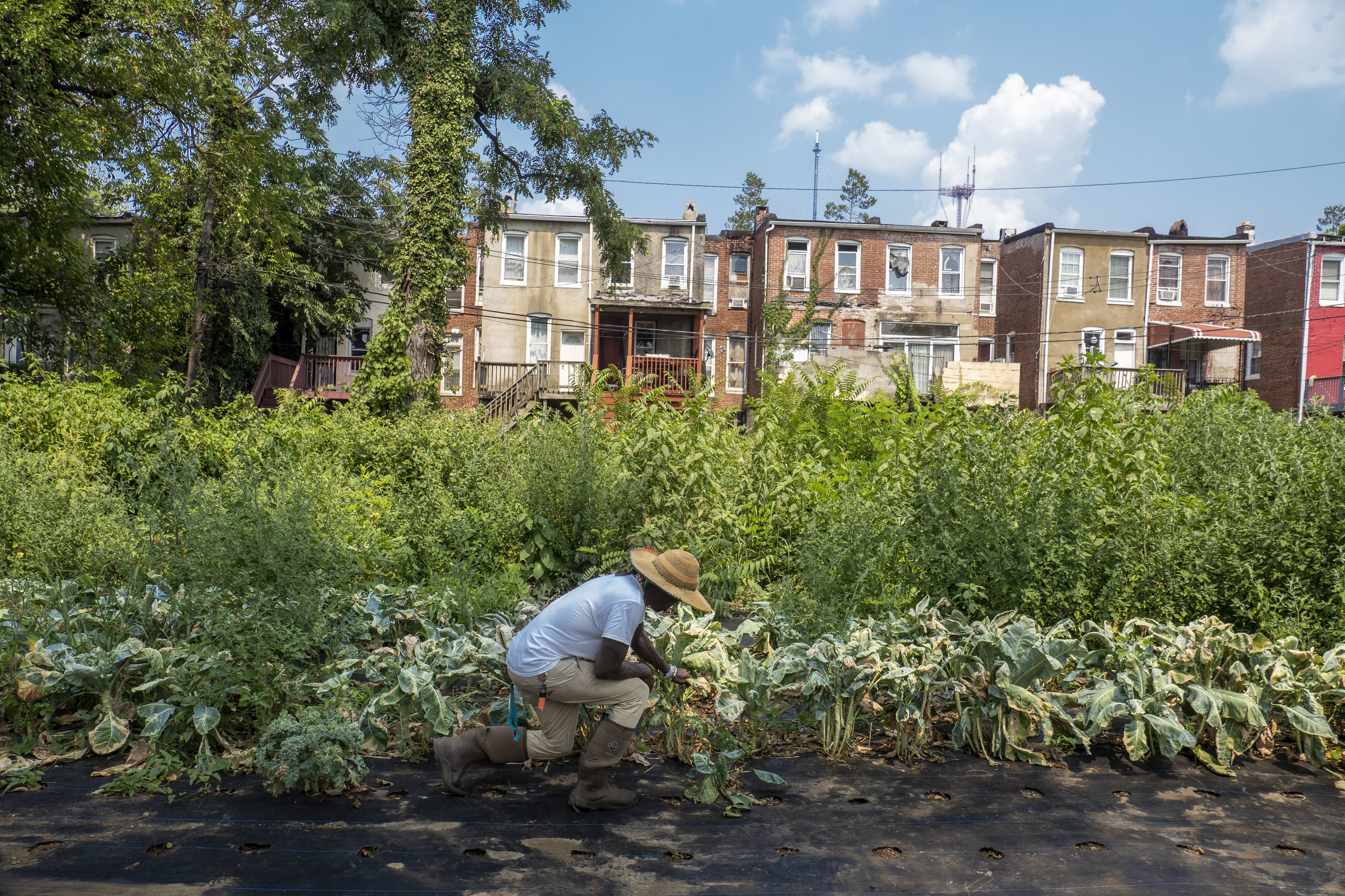 A person crouching down to tend to young plants in a garden, with a row of residential buildings behind
