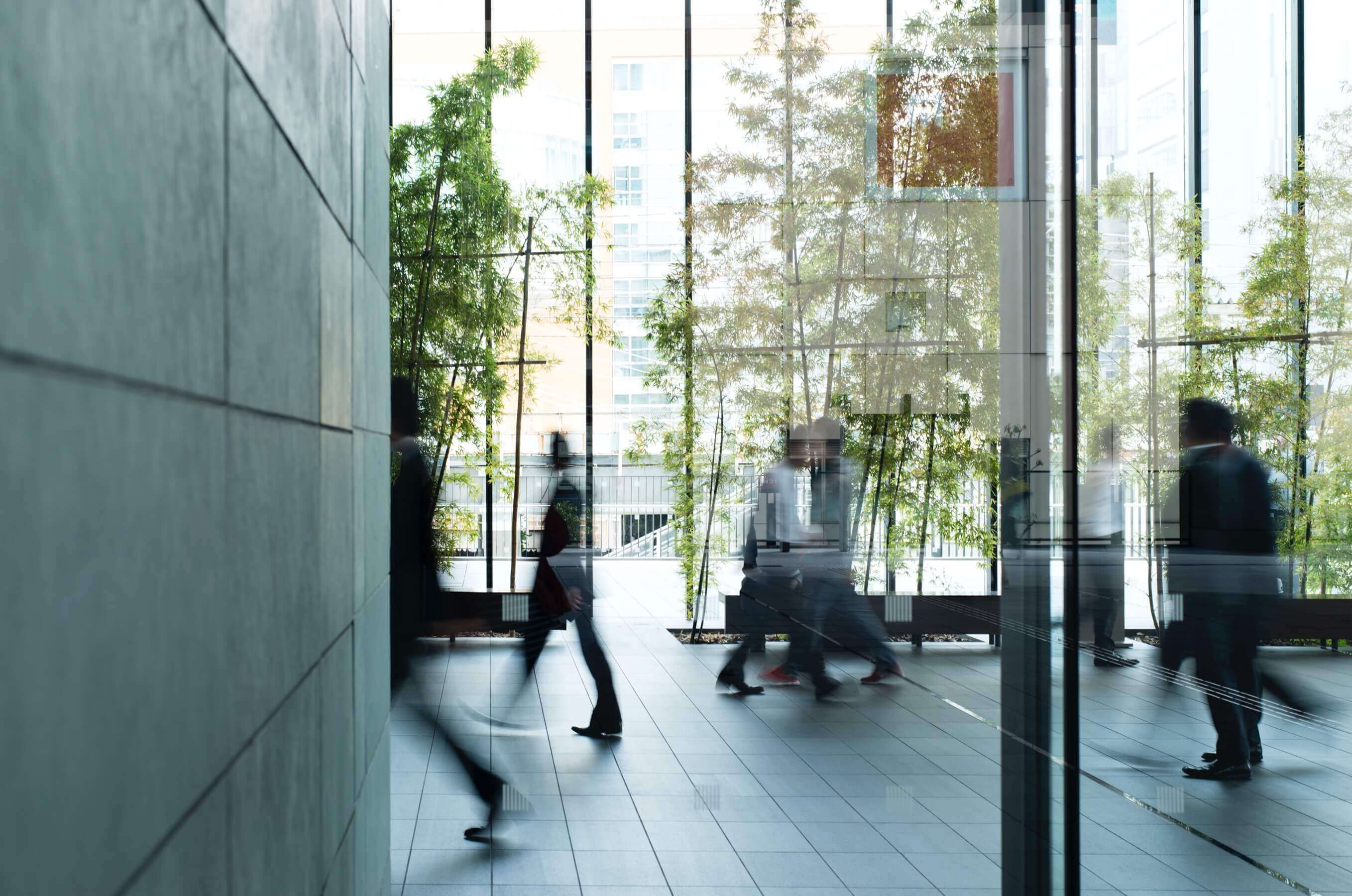 office with glass window and green plants