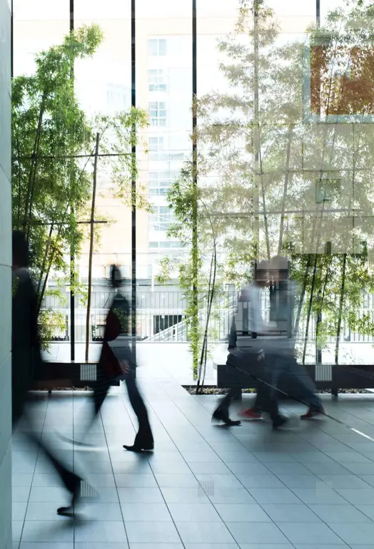 office with glass window and green plants