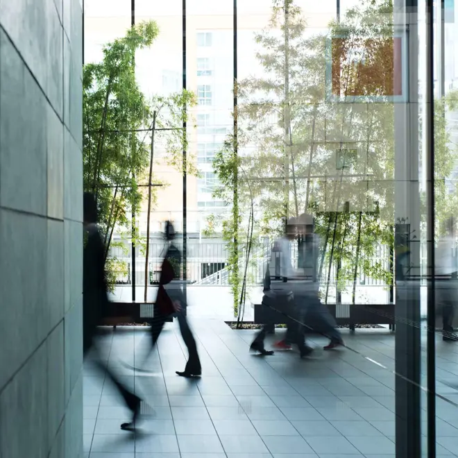 office with glass window and green plants
