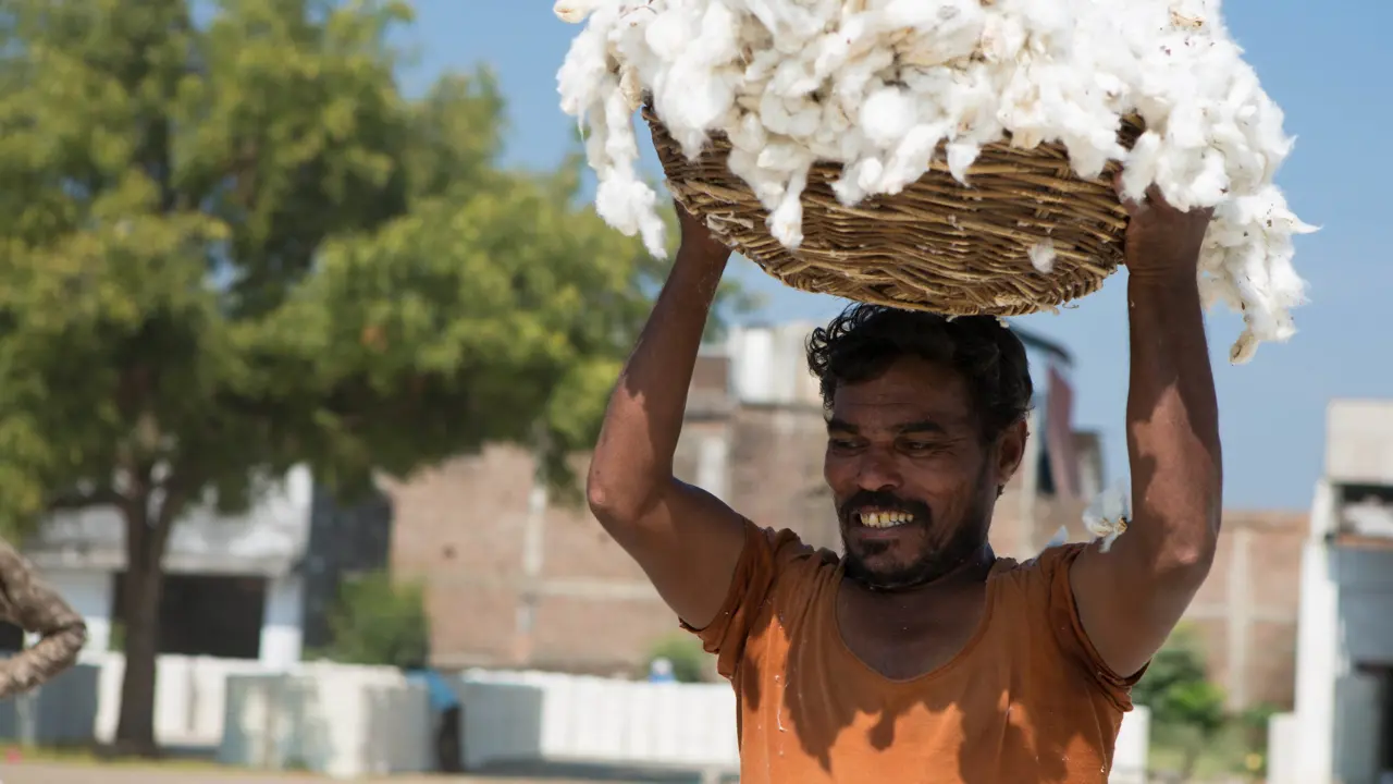 A man holding a basked of cotton above his head
