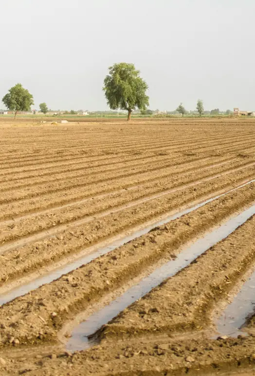 farm land being watered