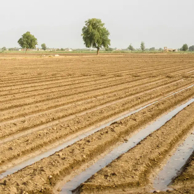 farm land being watered