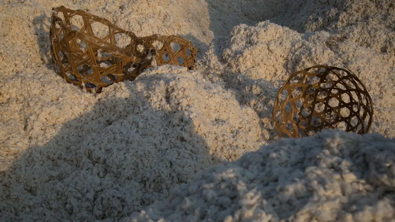 Baskets scattered on a big pile of raw cotton