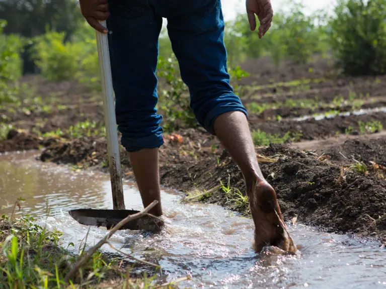 person walking through farmland water trenches