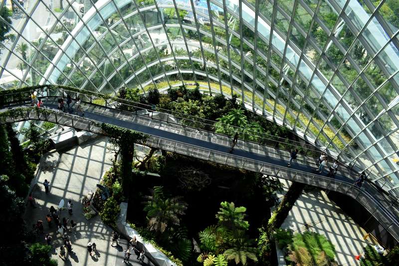 modern building with glass and green areas