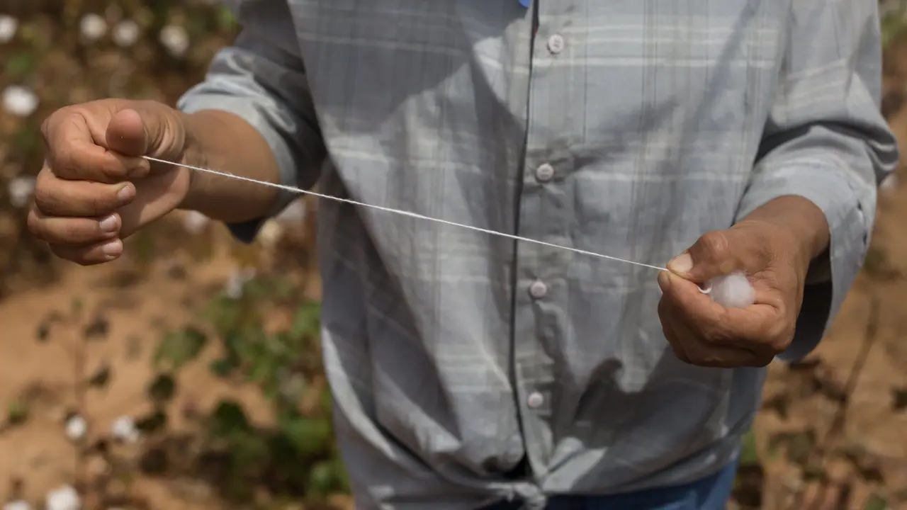 A close up of hands holding a single thread